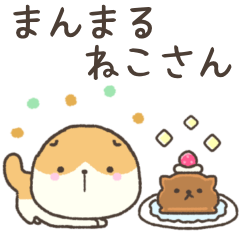 まんまる ねこさん⭐︎スコティッシュ２
