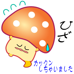 nobobi polite mushroom