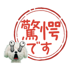 Moving Wiggle Bolognese 81