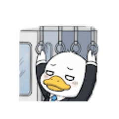 yoshi_20260311153451