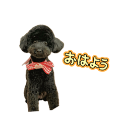 ABLAZE_20260311153102