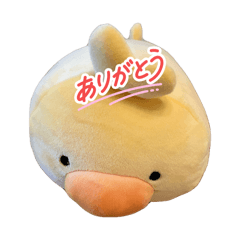 toufu_20260308084512