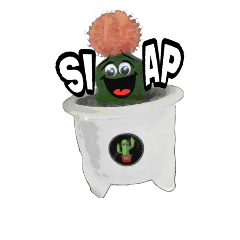 Funniest Cactus