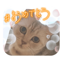 Sayato_20260311181512