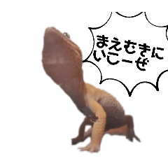 Tsuki_20260311182754