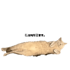 lelouch_20260311184212