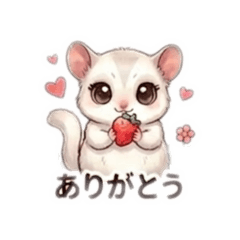 Ryo-13_20260311163927