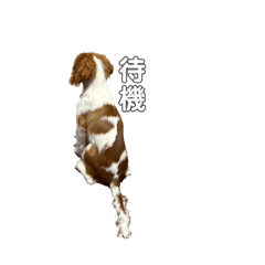 poyohiro_20260311164226