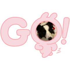 hangyodon_20260311191209