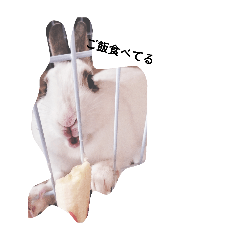 NANAMI_20260311191929