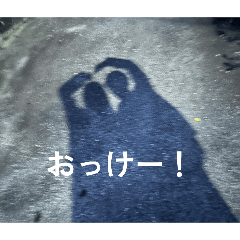 tunamayo_20260311211019