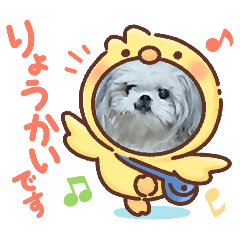 Choko_20260311191138