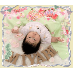 pumi pumi_20260311211404