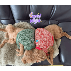 candy_20260311211609