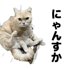 mansamu_20260311211845