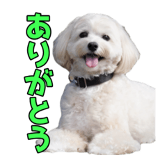 Hell Overload_20260311211619