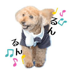 Ichika_20260311172723