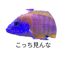 yuzu_20260311174326