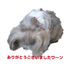 kiyoshi_20260224181037