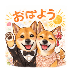 tonton_20260311213113