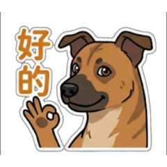 帥氣摩卡
