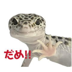 Na-san_20260311193000