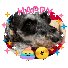 Yamatama_20260311232005