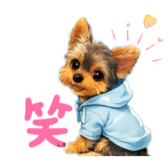 maachan_20260312000543