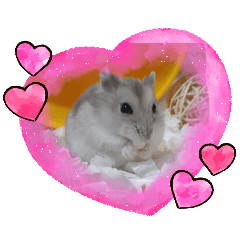 tamone_20260312023033