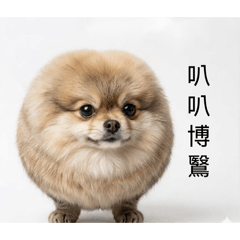 我的刀盾迷因 第一彈