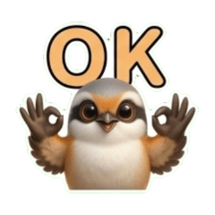 很可以的伯勞鳥