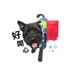 Eddie小抖的日常