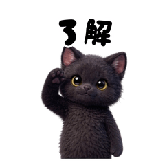 Quick Replies! Fluffy Black Cat