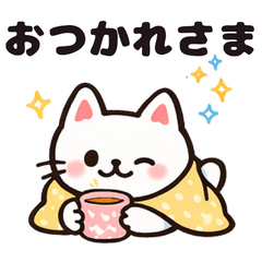 Gentle White Cat Everyday Phrases