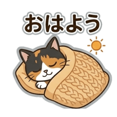 The daily life of a rusty cat