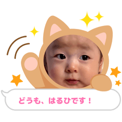 mina_20260312103616