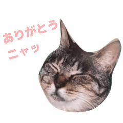 Umemi_20260312103054