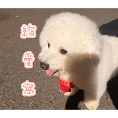 麻糬加花生煉乳加芋圓加地瓜