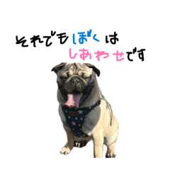 yuunyan_20260312002712