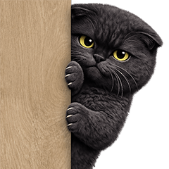 ❤️แมวดำ ตึงจัด❤️(No Text)