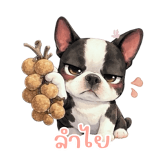 Bryony the Boston Babe 3.2