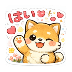 Kawaii Shiba.