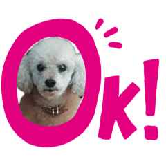 picori_20260311210251