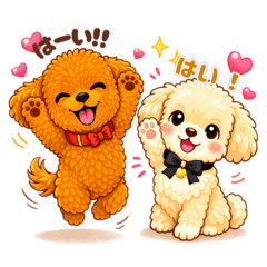 sachicocco_20260311205712