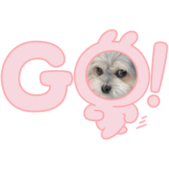 tamichi_20260311205917