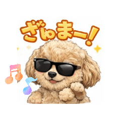 dolphin_20260311210058