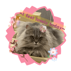 Risky&Du-ar 小貓兄妹♪(3.0)