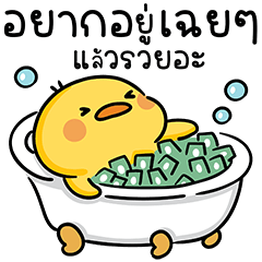 เป็ดเดวิด V.13