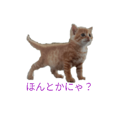 tantan_20260308194454