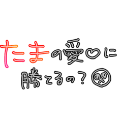 T_20260311224433